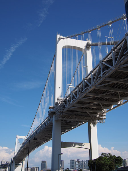 ���C���{�[�u���b�W�̋��r�̕��i