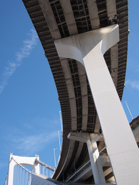 ���C���{�[�u���b�W�̋��r