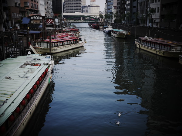 �[���̐󑐋��Ɖ��`�D�̒┑��