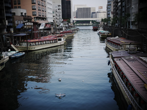 �[���̐󑐋��Ɖ��`�D�̒┑��