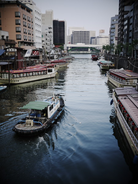 �[���̐󑐋��Ɖ��`�D�̒┑��