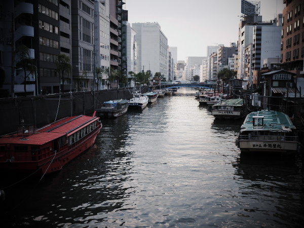 �[���̐󑐋��Ɖ��`�D�̒┑��