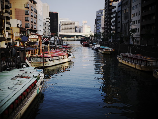 �[���̐󑐋��Ɖ��`�D�̒┑��