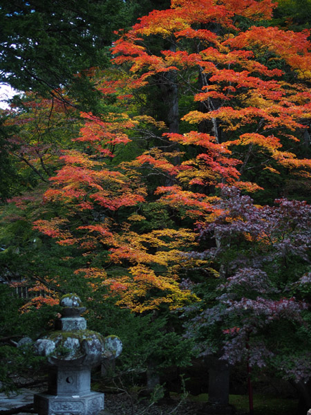 ���E��Y�@�����̎Ў��i��Јꎛ�j�̍g�t