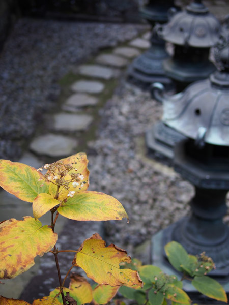 ���E��Y�@�����̎Ў��i��Јꎛ�j�̍g�t