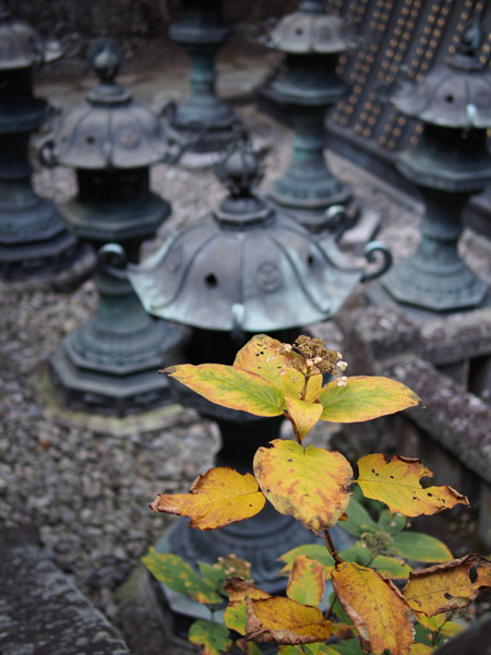 ���E��Y�@�����̎Ў��i��Јꎛ�j�̍g�t