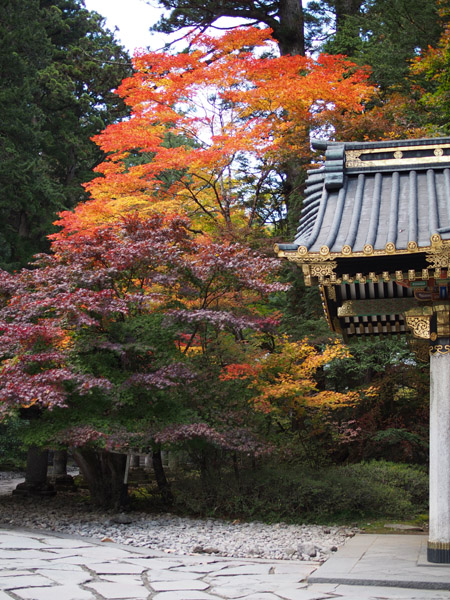 ���E��Y�@�����̎Ў��i��Јꎛ�j�̍g�t