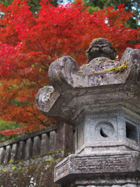 ���E��Y�@�����̎Ў��i��Јꎛ�j�̍g�t