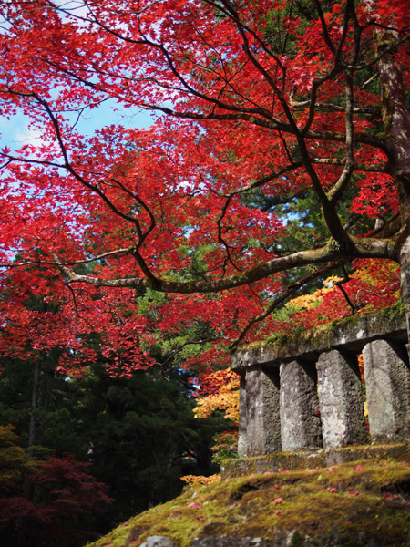 ���E��Y�@�����̎Ў��i��Јꎛ�j�̍g�t