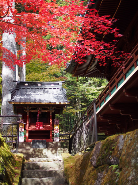 ���E��Y�@�����̎Ў��i��Јꎛ�j�̍g�t