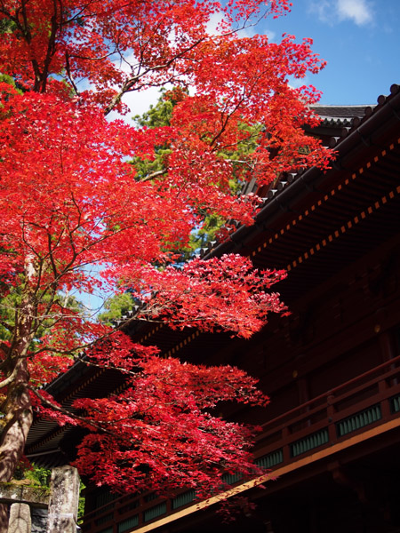 ���E��Y�@�����̎Ў��i��Јꎛ�j�̍g�t