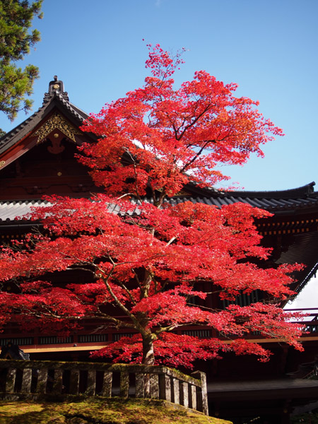 ���E��Y�@�����̎Ў��i��Јꎛ�j�̍g�t