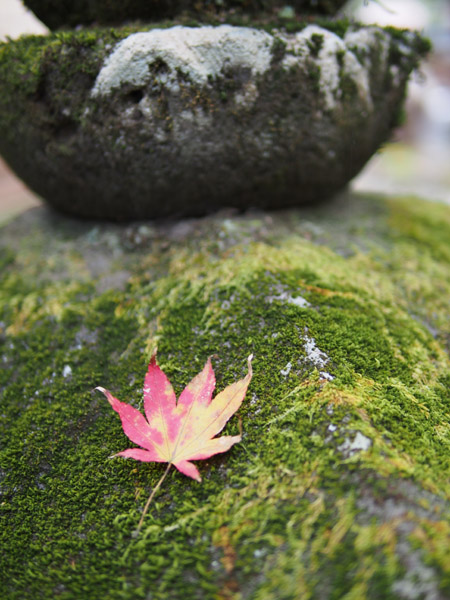 ���E��Y�@�����̎Ў��i��Јꎛ�j�̍g�t