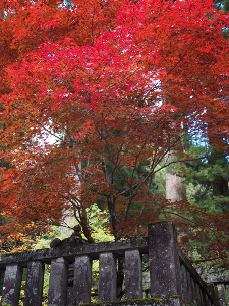 �����R�։��� ��Q�@�̍g�t