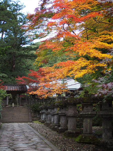 �����R�։��� ��Q�@�̍g�t