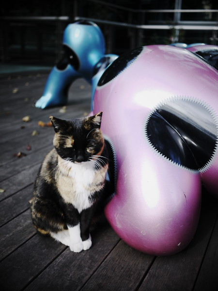 �����R���N���[�g�W�����O���̃A�E�g���[��ǔL