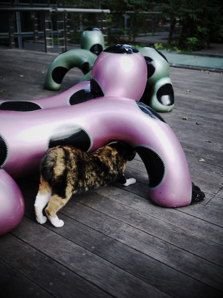 �����R���N���[�g�W�����O���̃A�E�g���[��ǔL