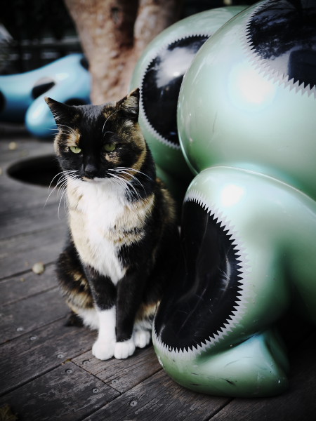 �����R���N���[�g�W�����O���̃A�E�g���[��ǔL