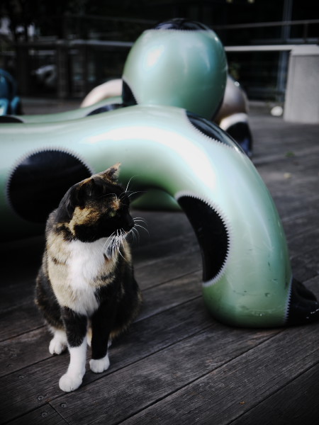 �����R���N���[�g�W�����O���̃A�E�g���[��ǔL