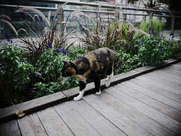 �����R���N���[�g�W�����O���̃A�E�g���[��ǔL