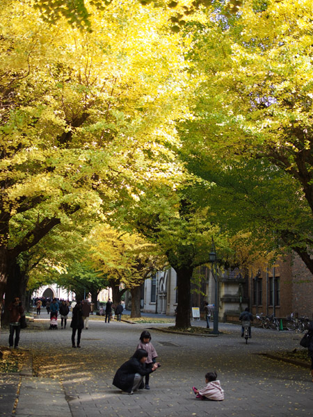 ������w�@�{���L�����p�X�̋�ǂ̍g�t