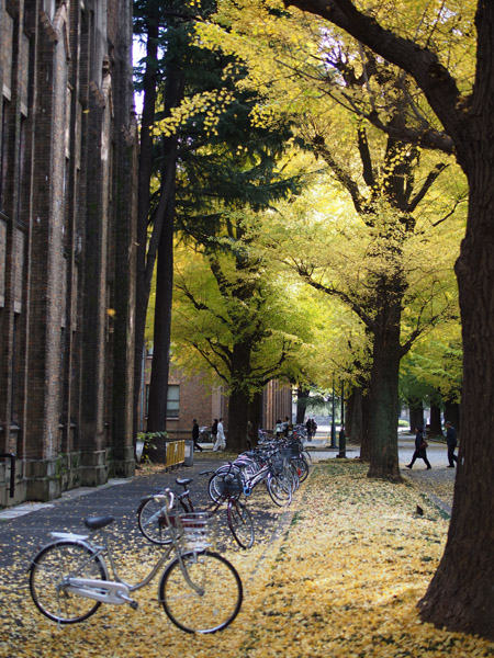 ������w�@�{���L�����p�X�̋�ǂ̍g�t