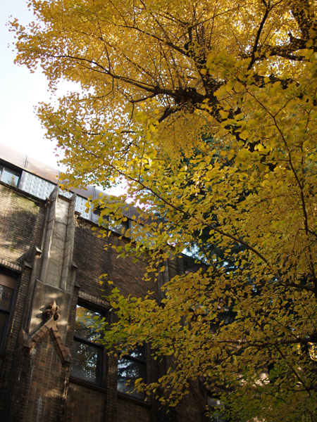 ������w�@�{���L�����p�X�̋�ǂ̍g�t