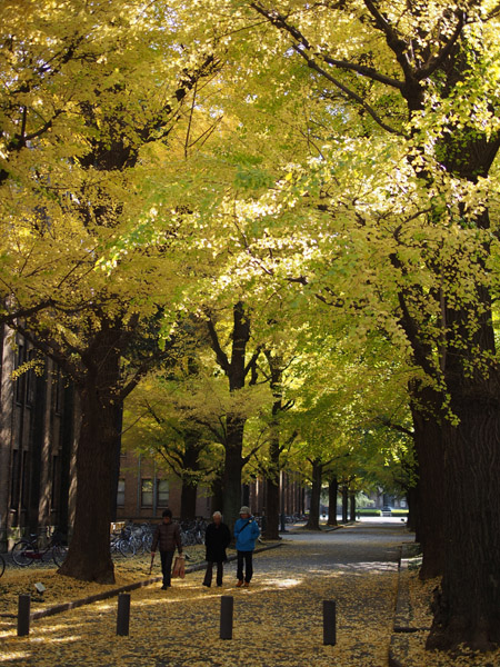 ������w�@�{���L�����p�X�̋�ǂ̍g�t