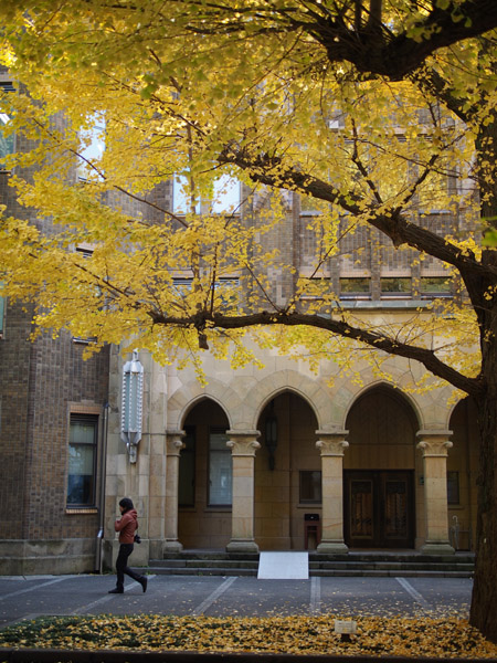 ������w�@�{���L�����p�X�̋�ǂ̍g�t