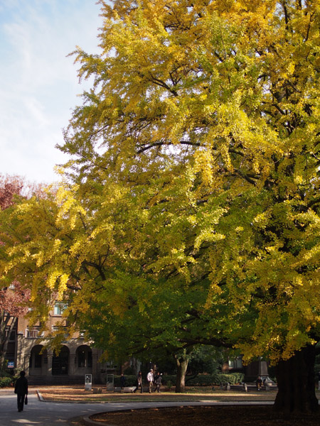 �����R�։��� ��Q�@�̍g�t