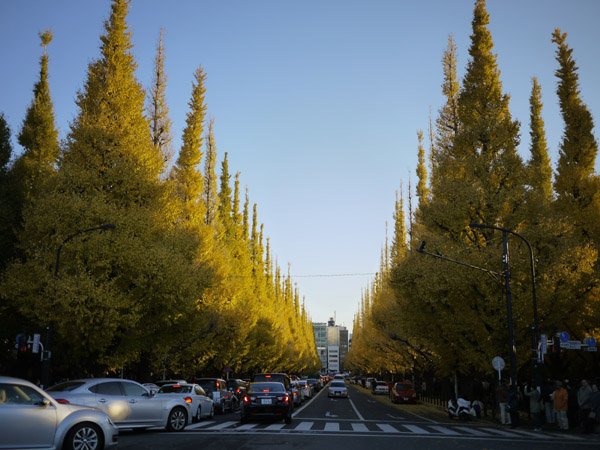 �_�{�O���̋�Ǖ��؂̍g�t���i