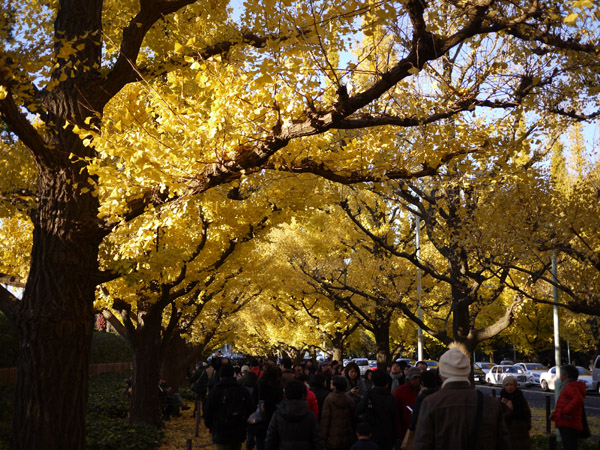 �_�{�O���̋�Ǖ��؂̍g�t���i