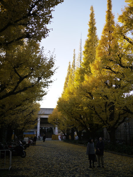 �_�{�O���̋�Ǖ��؂̍g�t���i