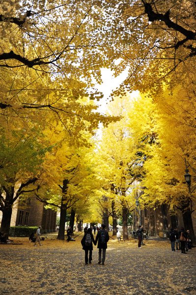 �����s���̍g�t�̖����@������w�{���L�����p�X�̕��i