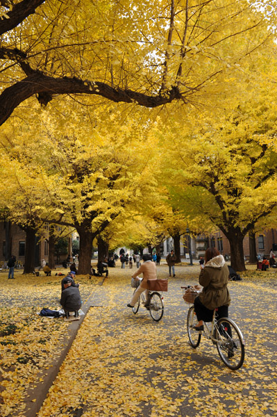 �����s���̍g�t�̖����@������w�{���L�����p�X�̕��i