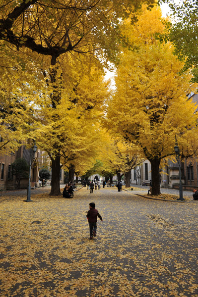 �����s���̍g�t�̖����@������w�{���L�����p�X�̕��i