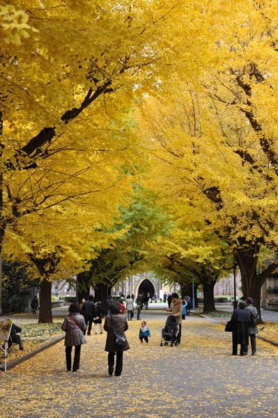 �����s���̍g�t�̖����@������w�{���L�����p�X�̕��i