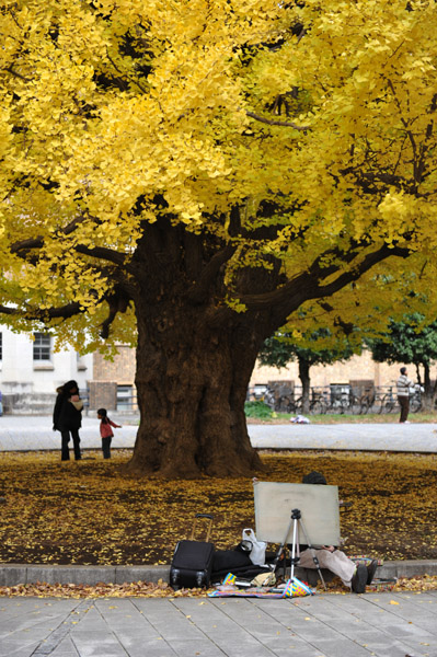 �����s���̍g�t�̖����@������w�{���L�����p�X�̕��i