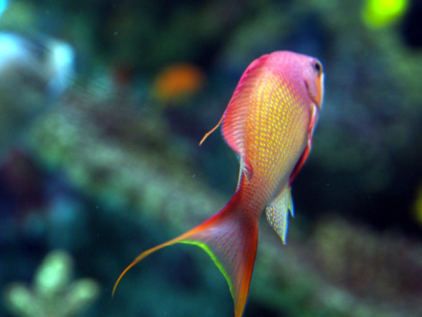 �����ՊC�������̌��C�ȋ��B