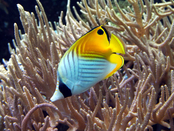 �����ՊC�������̐Â��ȋ��B