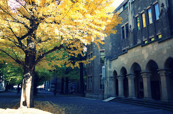  ������w�{���L�����p�X�̋�ǂ̍g�t 