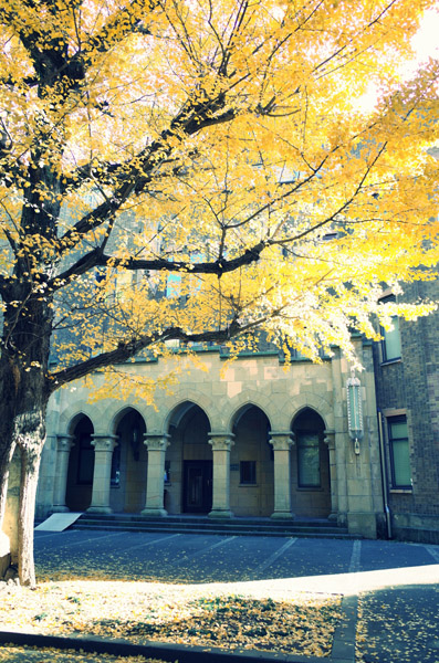 ������w�{���L�����p�X�̋�ǂ̍g�t