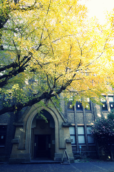 ������w�{���L�����p�X�̋�ǂ̍g�t