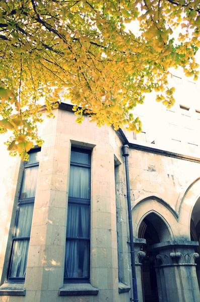 ������w�{���L�����p�X�̋�ǂ̍g�t