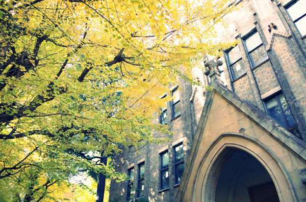 ������w�{���L�����p�X�̋�ǂ̍g�t