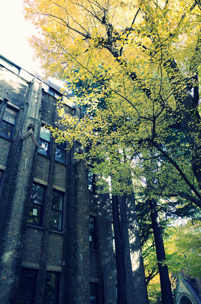 ������w�{���L�����p�X�̋�ǂ̍g�t