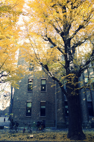 ������w�{���L�����p�X�̋�ǂ̍g�t