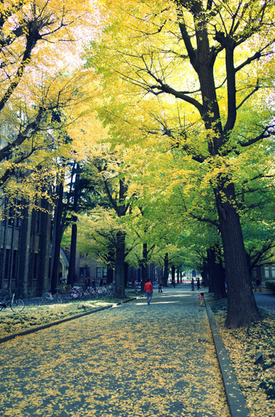 ������w�{���L�����p�X�̋�ǂ̍g�t