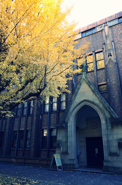 ������w�{���L�����p�X�̋�ǂ̍g�t