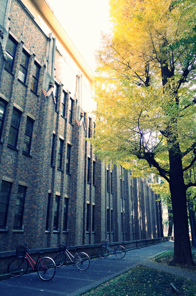 ������w�{���L�����p�X�̋�ǂ̍g�t